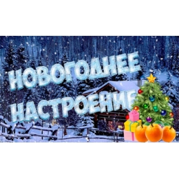 Створи новорічний настрій разом із Modnek