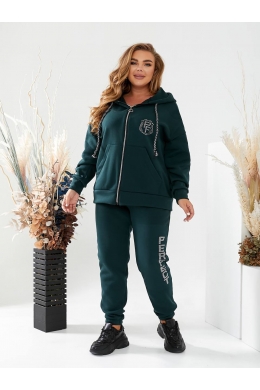 Теплий жіночий костюм на флісі колір пляшка