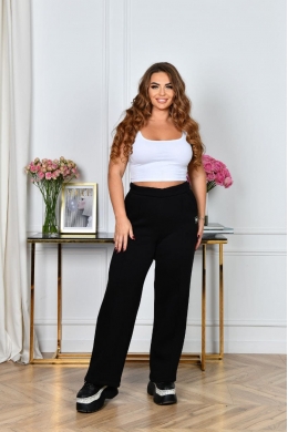 Жіночі зимові штани чорного кольору