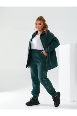 Жіночий теплий спортивний костюм колір пляшка