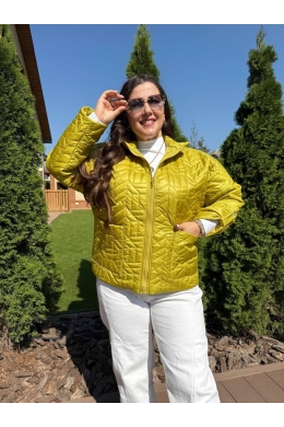 Жіноча демісезонна куртка кольору лайм