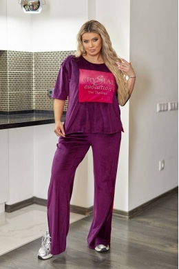 Жіночий велюровий костюм двійка фіолетового кольору