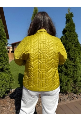 Жіноча демісезонна куртка кольору лайм