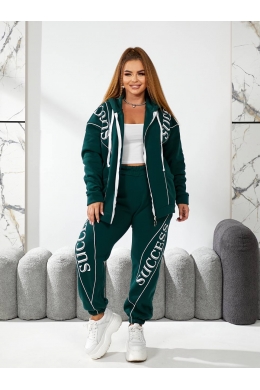 Жіночий теплий спортивний костюм колір пляшка