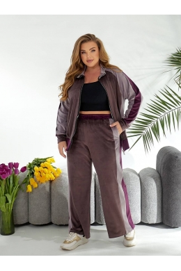 Жіночий велюровий спортивний костюм кольору мокко