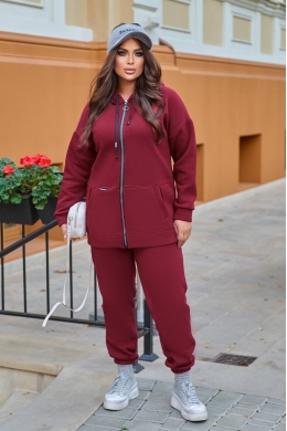 Жіночий теплий спортивний костюм колір вишневий