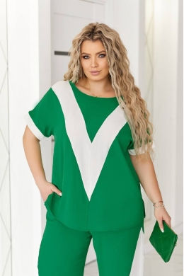 Жіночий костюм двійка зеленого кольору