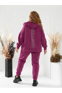 Теплий жіночий костюм на флісі колір пурпурний