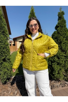 Жіноча демісезонна куртка кольору лайм